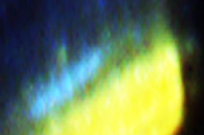 journée du patrimoine manufacture des tabacs riom